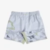 MANTO fight shorts TERRA grau