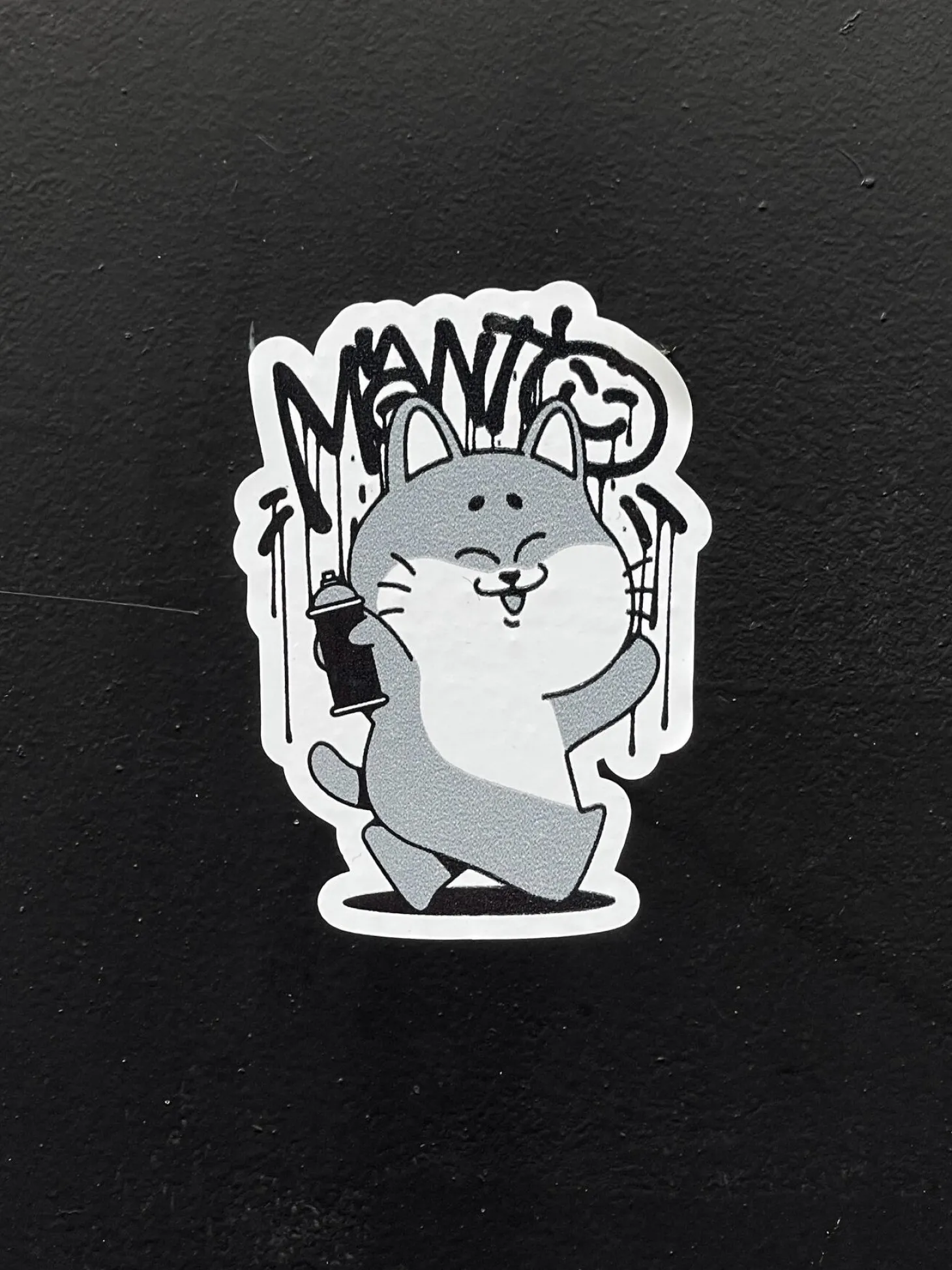 MANTO t-shirt DEBZA weiss